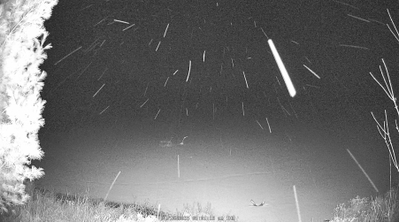Image from 2025-04-10