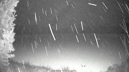 Image from 2025-04-10