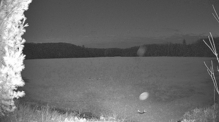 Image from 2025-04-10
