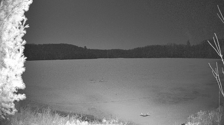 Image from 2025-04-10