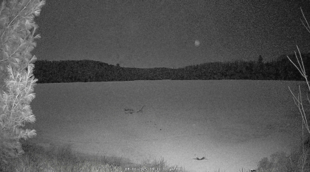 Image from 2025-04-10