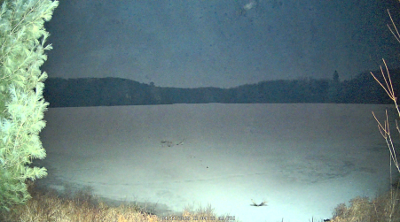 Image from 2025-04-11