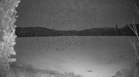 Image from 2025-04-11