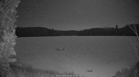 Image from 2025-04-11