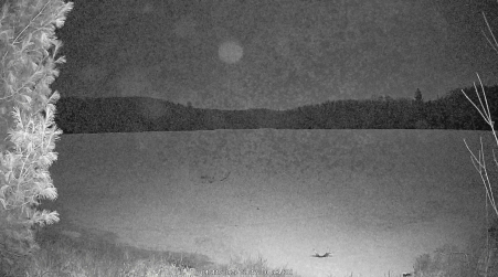 Image from 2025-04-11