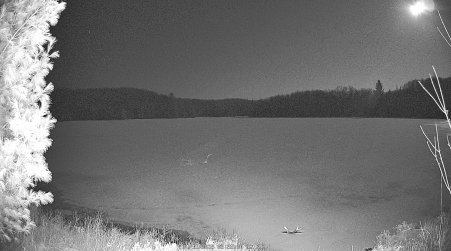 Image from 2025-04-11