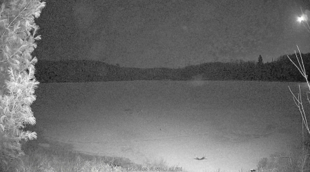 Image from 2025-04-11