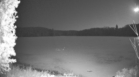 Image from 2025-04-11