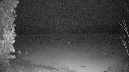 Image from 2025-04-11