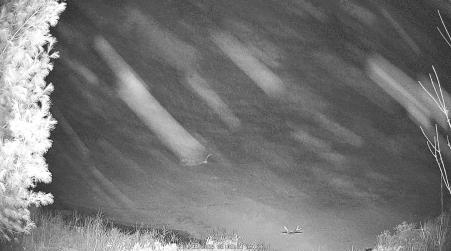 Image from 2025-04-11