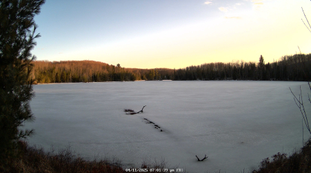 Image from 2025-04-11