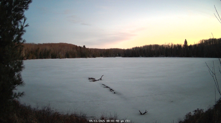 Image from 2025-04-11