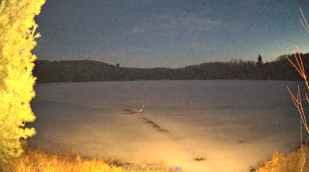Image from 2025-04-11