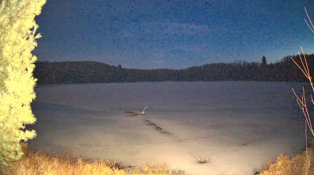 Image from 2025-04-11
