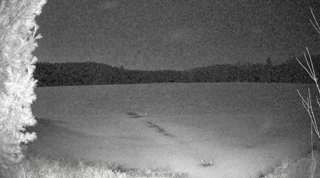 Image from 2025-04-11