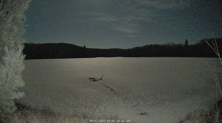 Image from 2025-04-12