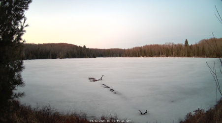 Image from 2025-04-12