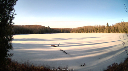Image from 2025-04-12