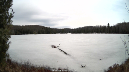 Image from 2025-04-12