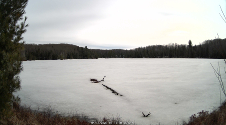 Image from 2025-04-12