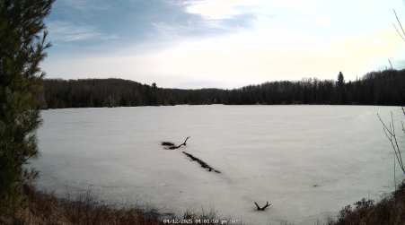 Image from 2025-04-12