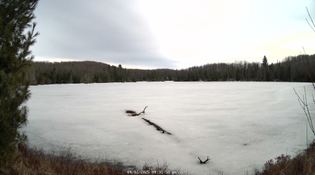 Image from 2025-04-12