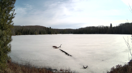 Image from 2025-04-12