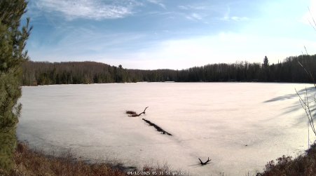 Image from 2025-04-12