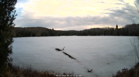 Image from 2025-04-12