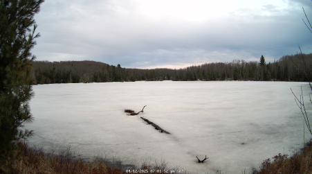 Image from 2025-04-12