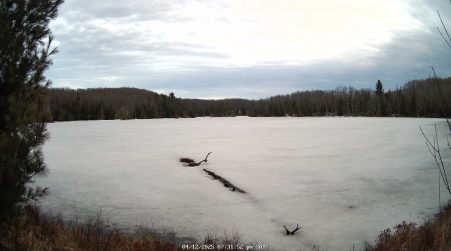 Image from 2025-04-12