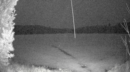 Image from 2025-04-13