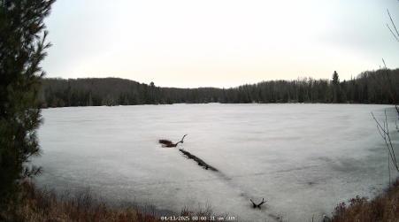 Image from 2025-04-13