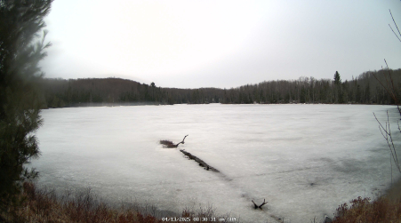 Image from 2025-04-13