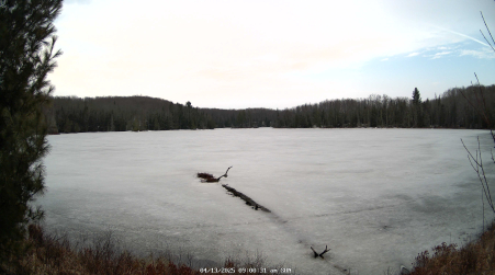 Image from 2025-04-13