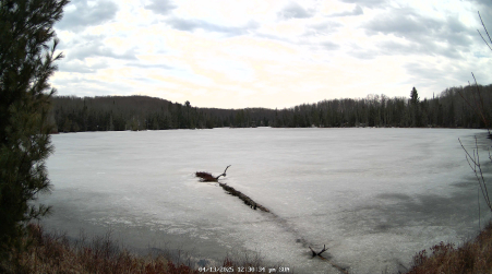 Image from 2025-04-13