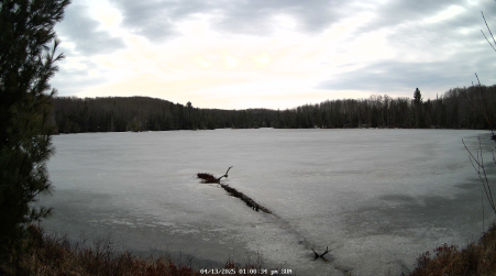 Image from 2025-04-13