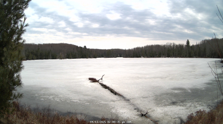 Image from 2025-04-13