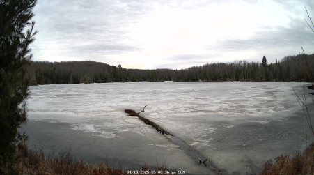 Image from 2025-04-13