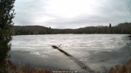 Image from 2025-04-13