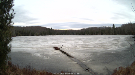 Image from 2025-04-13