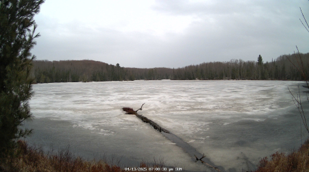 Image from 2025-04-13