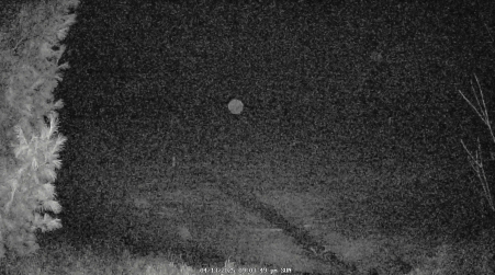 Image from 2025-04-13