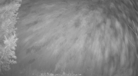 Image from 2025-04-13