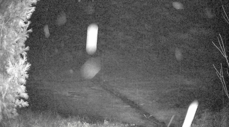 Image from 2025-04-13