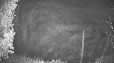 Image from 2025-04-13
