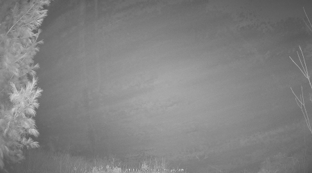 Image from 2025-04-13