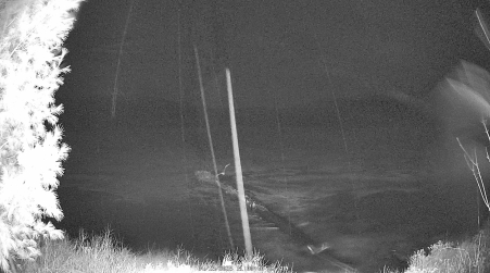 Image from 2025-04-13