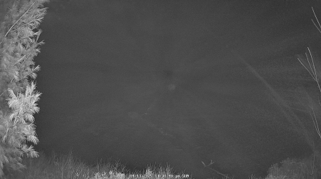 Image from 2025-04-13