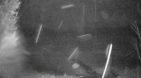 Image from 2025-04-14